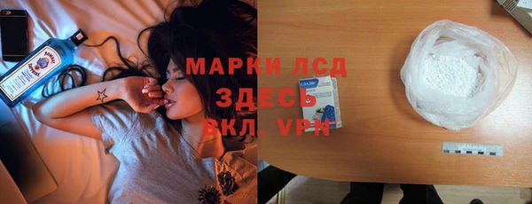 стаф Алзамай
