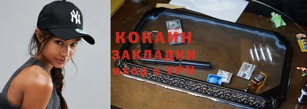 стаф Алзамай
