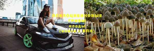 мет Алексеевка