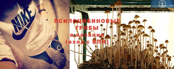 мет Алексеевка