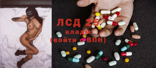 стаф Алзамай