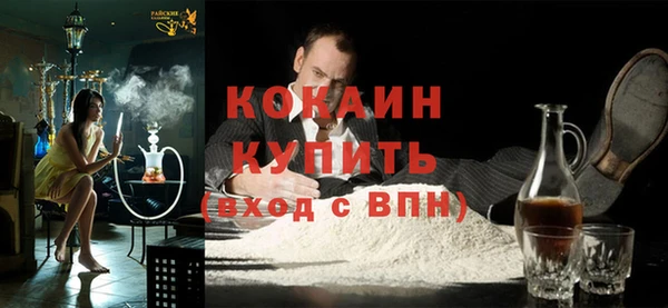 стаф Алзамай