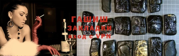 стаф Алзамай