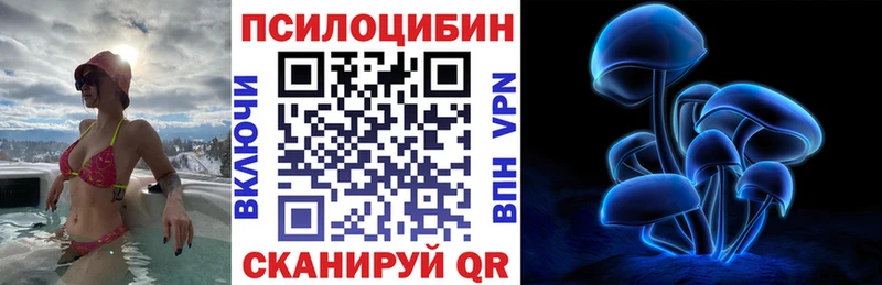 ОМГ ОМГ tor  продажа наркотиков  Вихоревка  Псилоцибиновые грибы прущие грибы 